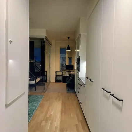 Stylestudio Areena1 公寓 坦佩雷